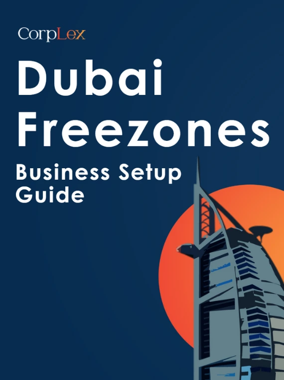 Dubai free zone guide