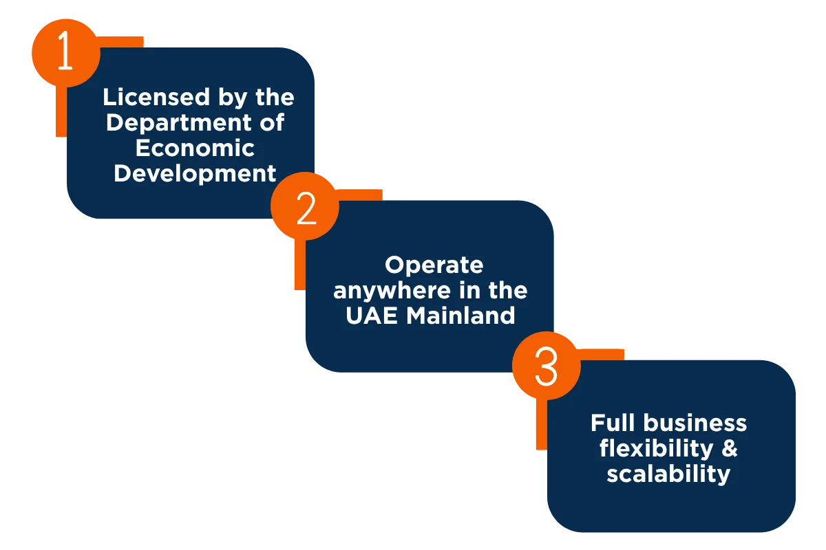 What Is a UAE Mainland Company