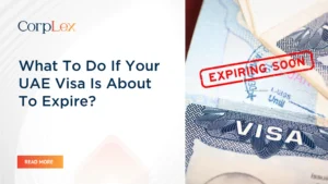 UAE Visa Expiry Rules