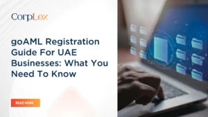 goAML registration guide for UAE businesses covering DNFBP compliance, portal sign-up and AML reporting obligations