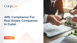 AML compliance for real estate companies in Dubai guide